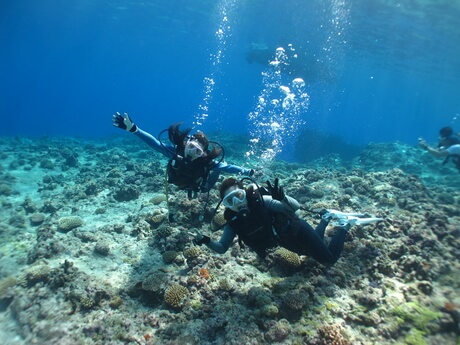 沖縄旅行のツアーでダイビング！インストラクターの完全サポートで泳げない人も大丈夫