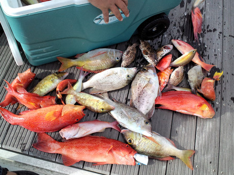 【たびちょいす】がおすすめする釣りプラン！～沖縄で釣れる魚とは～